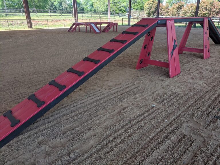 Commercial Agility – Dog Walk: Advanced Proprioception & Balance Systems