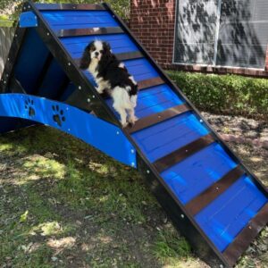 Commercial Agility – A-Frame: Premium K9 Agility & Enrichment Equipment