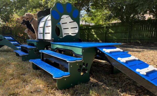 Commercial Activity Systems – w/ Tunnel: Multi-Functional K9 Enrichment Platforms