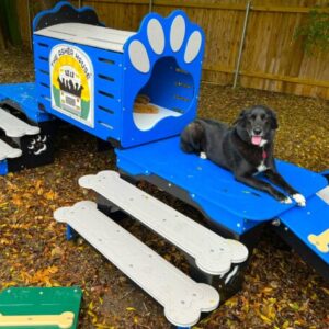 Commercial Activity Systems – w/ Tunnel: Multi-Functional K9 Enrichment Platforms
