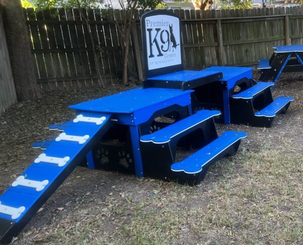 Commercial Activity Systems – w/ Bridge: Elevated Crossover & Confidence Platforms