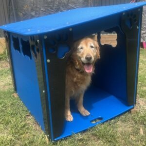 Premium Housing – Dog House Options for Professional Facilities and Homeyards