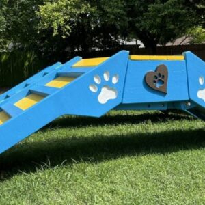 Agility – Senior A-Frame