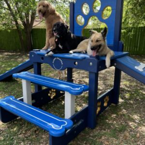 Traditional Timber Platform – Double Ramp: Classic Dual-Incline K9 Elevation Systems
