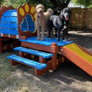 Traditional Timber Activity Systems – w/ Tunnel: Classic Multi-Functional K9 Enrichment