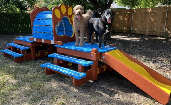 Traditional Timber Activity Systems – w/ Tunnel: Classic Multi-Functional K9 Enrichment