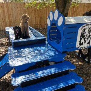 Commercial Activity Systems – Puppy w/ Tunnel: Low-Profile Combo Enrichment Systems