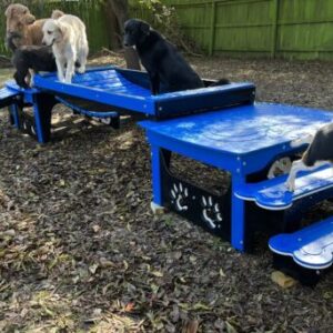 Commercial Activity Systems – Puppy: Low-Profile K9 Nursery & Socialization Courses