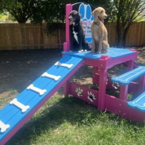 Timber Platform – Double Ramp