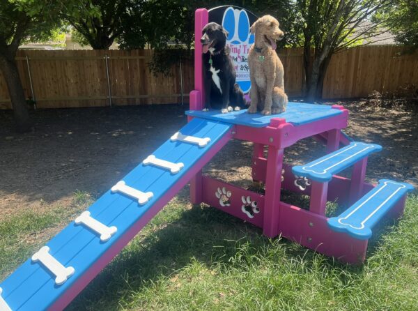 Timber Platform – Double Ramp