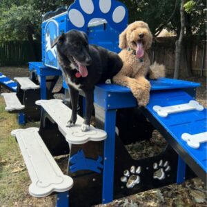 Commercial Activity Systems – Tall w/ Tunnel: Multi-Level K9 Enrichment Platforms