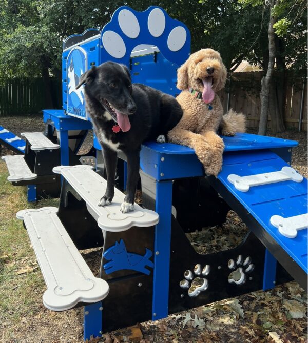 Commercial Activity Systems – Tall w/ Tunnel: Multi-Level K9 Enrichment Platforms