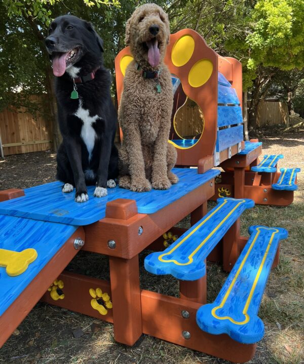 Traditional Timber Activity Systems – w/ Tunnel: Classic Multi-Functional K9 Enrichment
