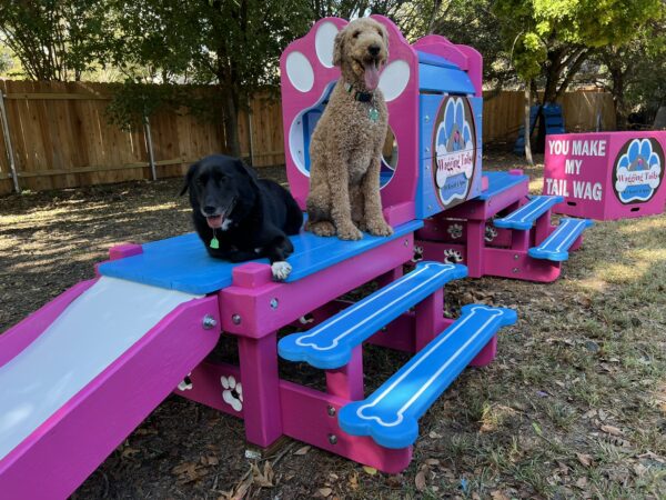 Traditional Timber Activity Systems – w/ Tunnel: Classic Multi-Functional K9 Enrichment