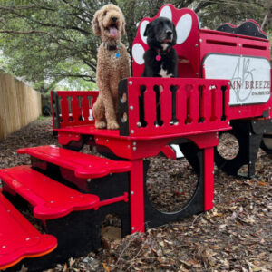 Commercial Activity Systems – Teacup: Ultra-Compact K9 Enrichment for Toy & Teacup Breeds