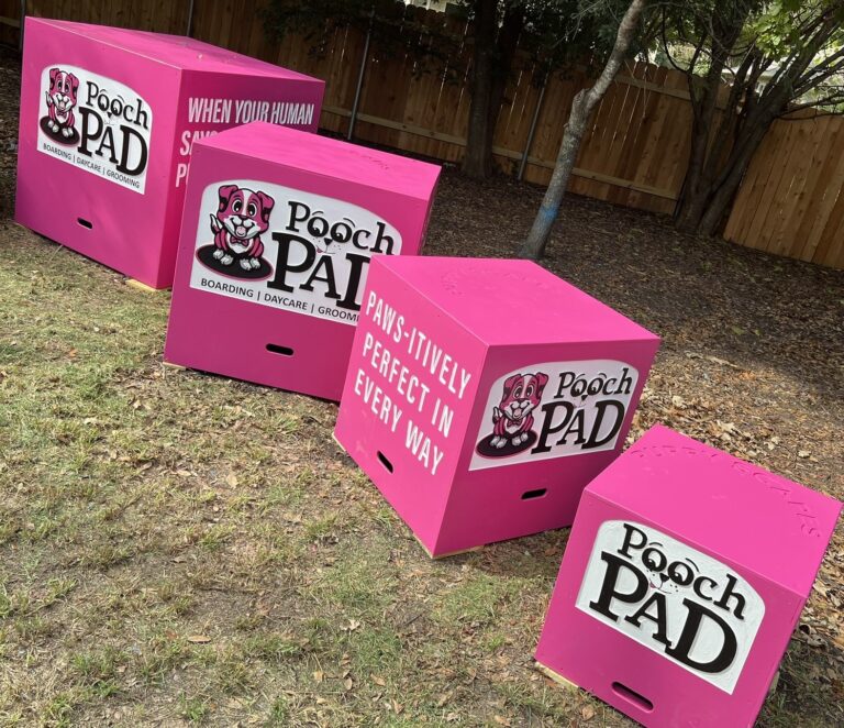 Pro-Series Nesting – Four Box Set w/ Logo: Custom Agility & Training Blocks