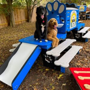 Commercial Activity Systems – w/ Tunnel: Multi-Functional K9 Enrichment Platforms