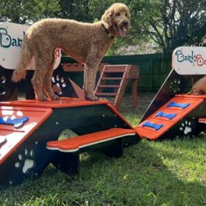 Platform – Micro Double Ramp