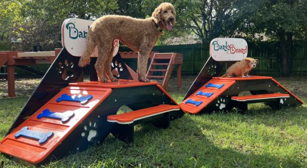Platform – Micro Double Ramp